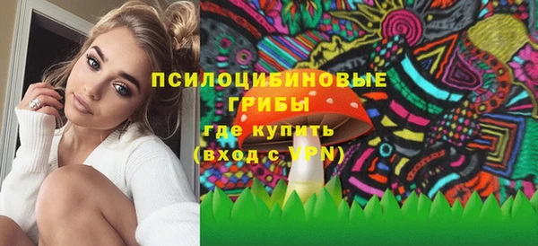 метадон Михайлов