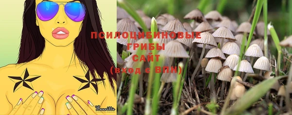 метадон Михайлов