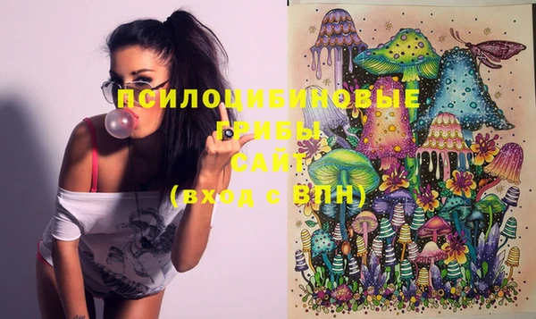 2c-b Михайловка