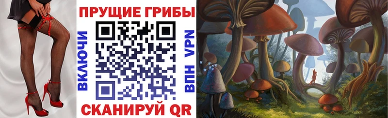 Галлюциногенные грибы Cubensis Березники