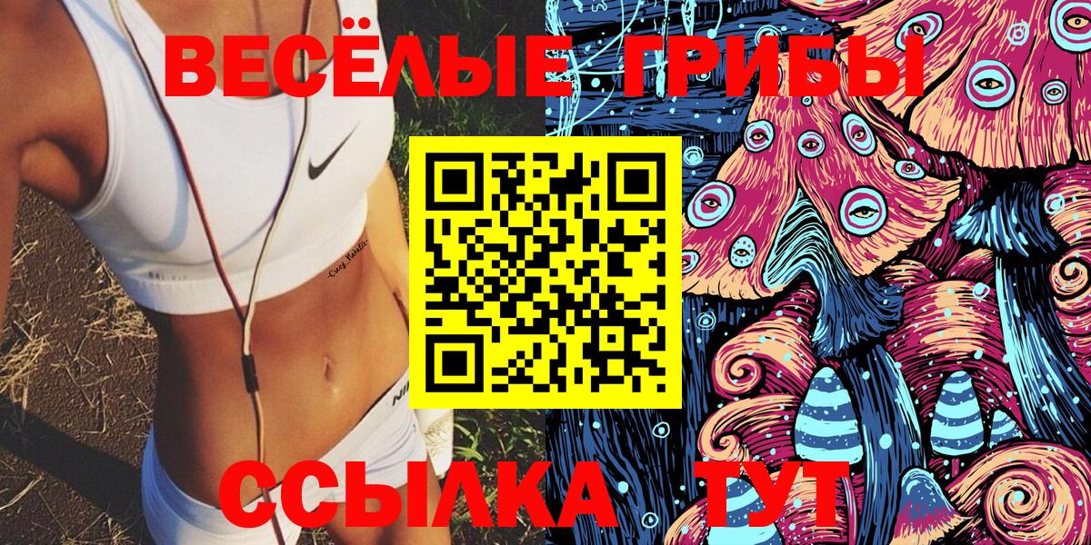 Галлюциногенные грибы прущие грибы  Галлюциногенные грибы мицелий  Вход с VPN  Березники 