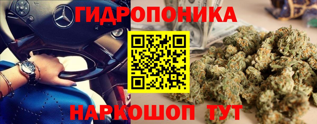 МАРИХУАНА сатива Березники